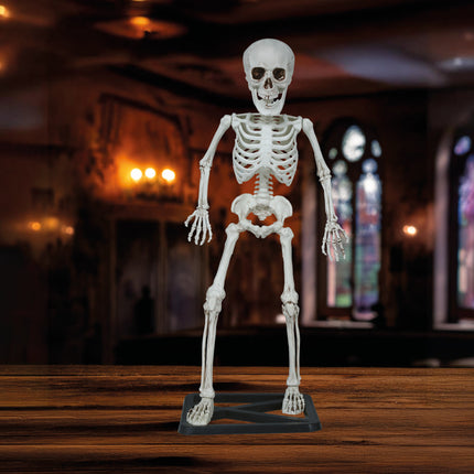 Squelette d'Halloween 55cm