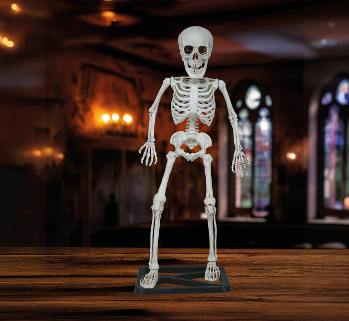 Squelette d'Halloween 55cm