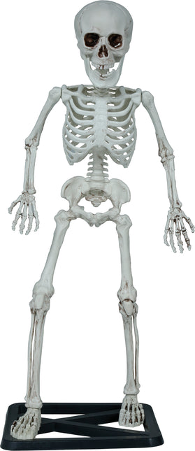 Squelette d'Halloween 55cm