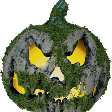 Halloween Pumpkin Moss With Light 20cm