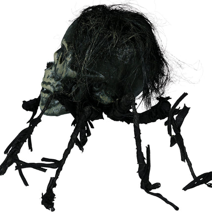 Halloween Faux crâne d'araignée 38cm