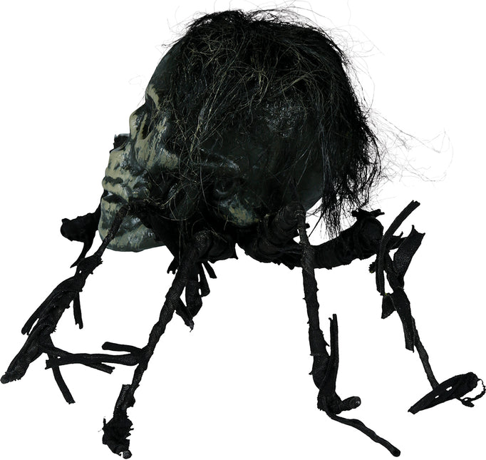 Halloween Faux crâne d'araignée 38cm