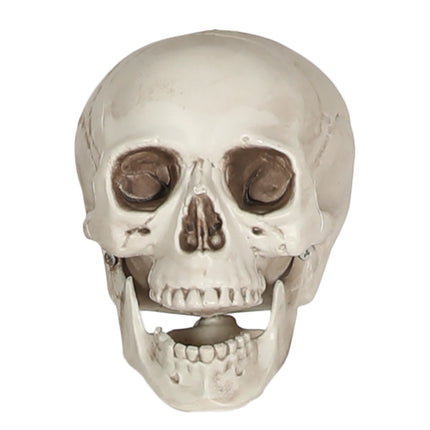 Crâne blanc 20cm