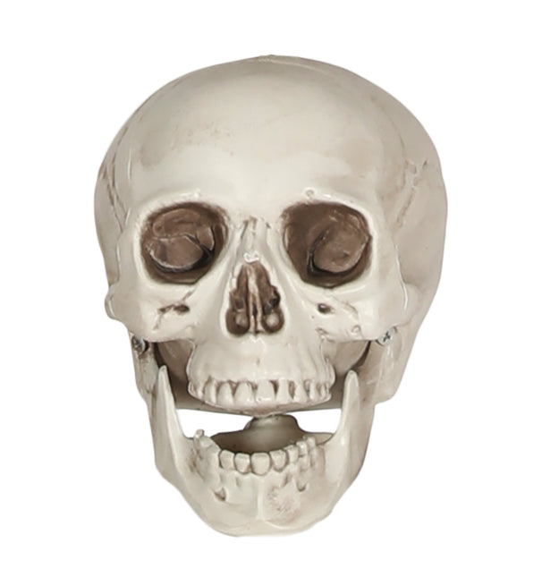 Crâne blanc 20cm