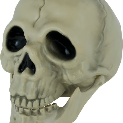 Crâne d'Halloween 13cm