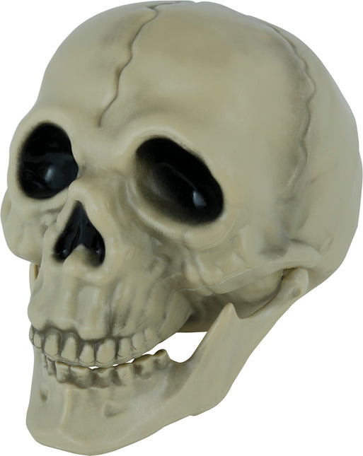 Crâne d'Halloween 13cm