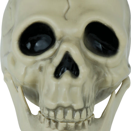 Crâne d'Halloween 13cm