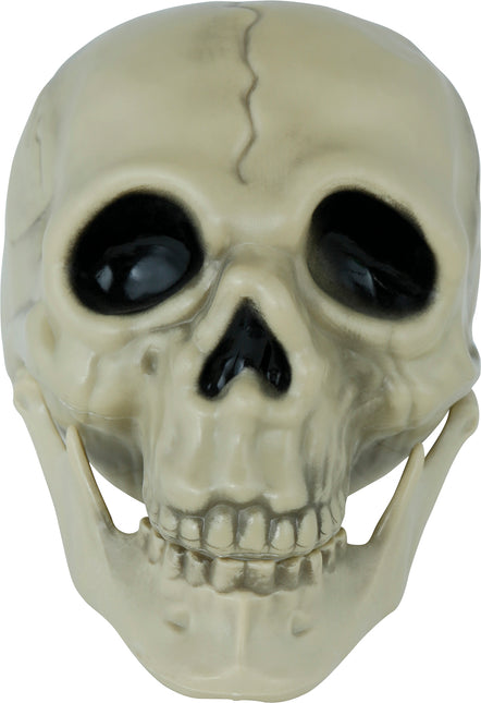 Crâne d'Halloween 13cm