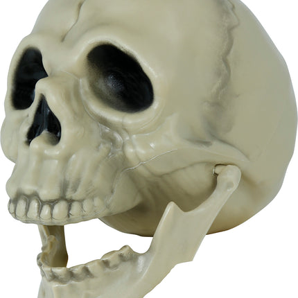Crâne d'Halloween 13cm