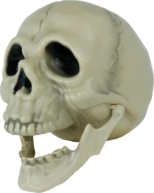 Crâne d'Halloween 13cm