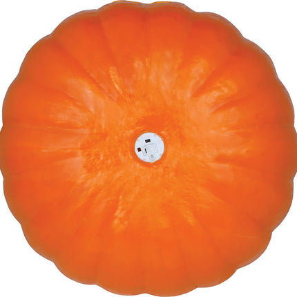 Citrouille d'Halloween lumineuse, 45 cm