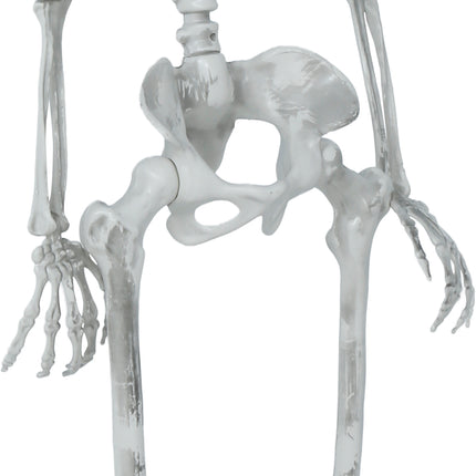 Squelette d'Halloween articulé, 1,4 m
