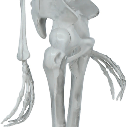 Squelette d'Halloween articulé, 1,4 m