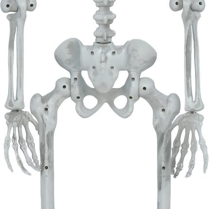 Squelette d'Halloween articulé, 1,4 m