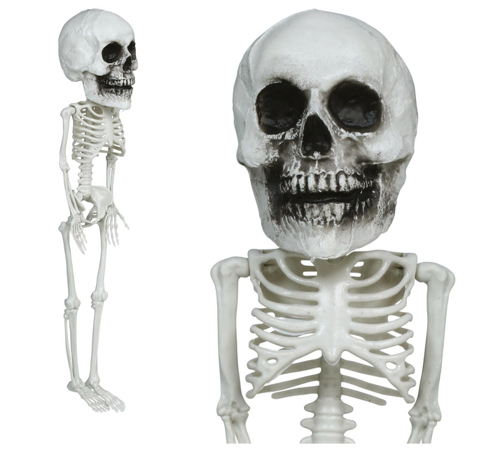 Halloween Skelet Hangend Groot Hoofd 40cm