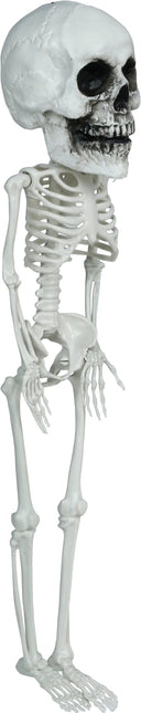 Halloween Skelet Hangend Groot Hoofd 40cm