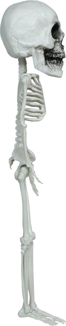 Halloween Skelet Hangend Groot Hoofd 40cm