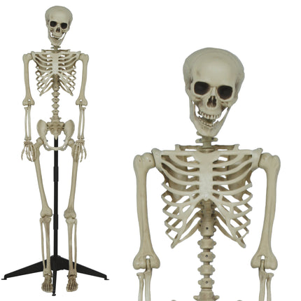 Halloween Skelet Op Standaard 1,55m