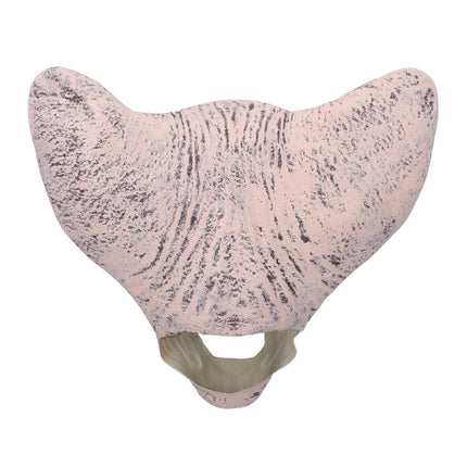 Masque en latex « Horror cat »