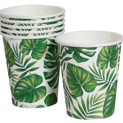 Tasses en feuilles de palmier 240ml 6pcs