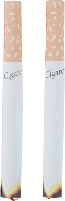 Fausse cigarette 2pcs