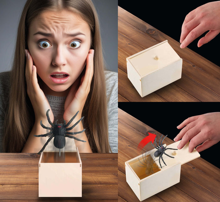 Fausse araignée d'Halloween en boîte