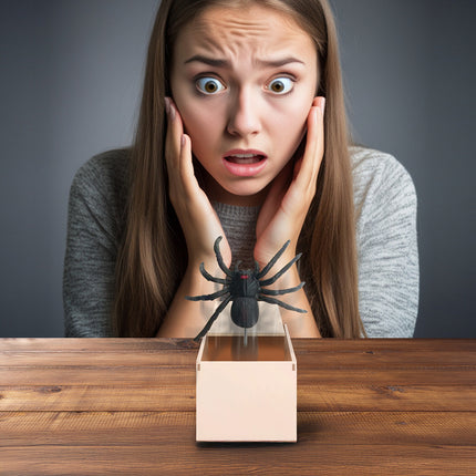 Fausse araignée d'Halloween en boîte