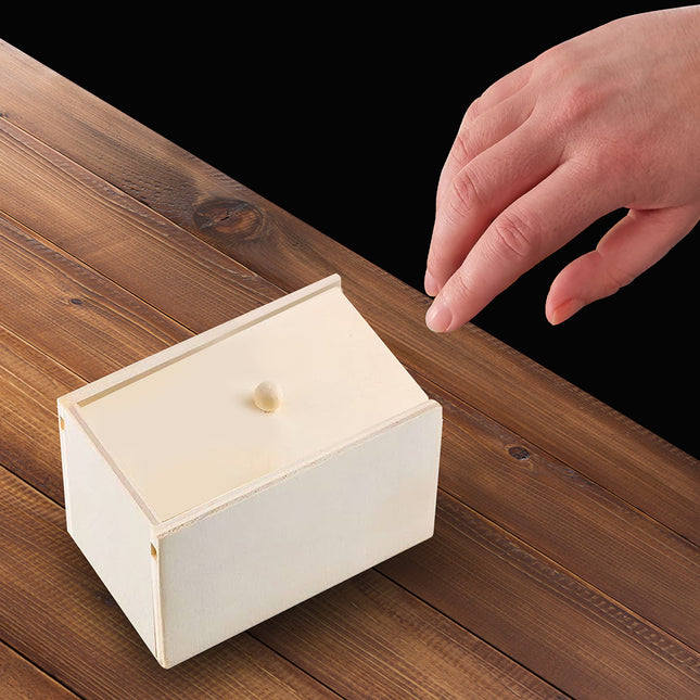 Fausse araignée d'Halloween en boîte