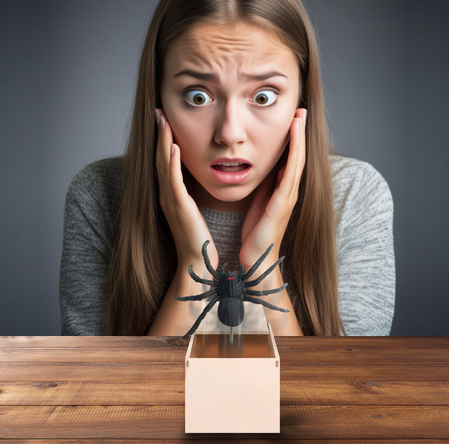 Fausse araignée d'Halloween en boîte