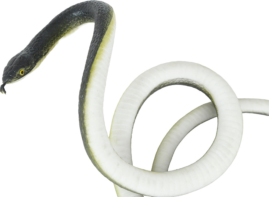 Faux serpent avec corde et pince