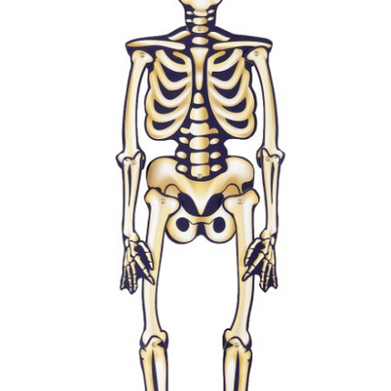 SQUELETTE ARTICULÉ D'HALLOWEEN