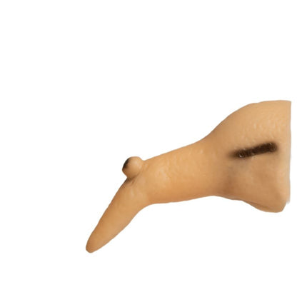 Halloween Fake Nose Witch 10cm