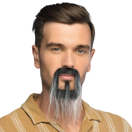 Barbe Fantasy grise