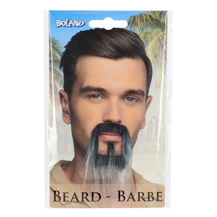 Barbe Fantasy grise