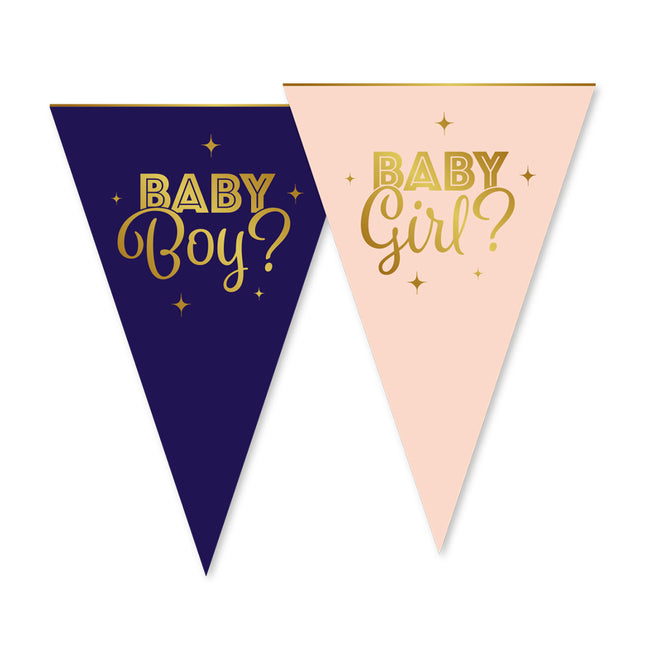 Drapeau papier 6 m 20 x 30 cm - Dévoilement du genre