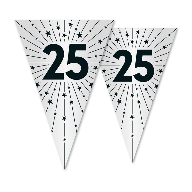 Ligne de drapeau 25 PET Argent 20x30cm Double face