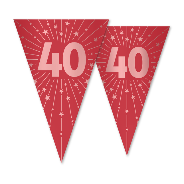 Ligne de drapeau 40 PET Double 20x30cm 10 mètres de long