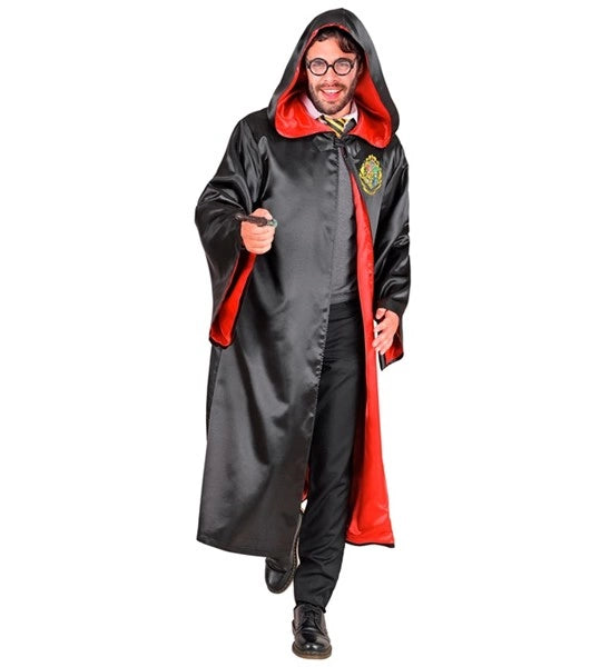Costume d'apprenti sorcier pour adultes