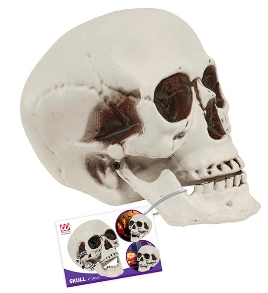 Crâne d'Halloween avec mâchoire mobile