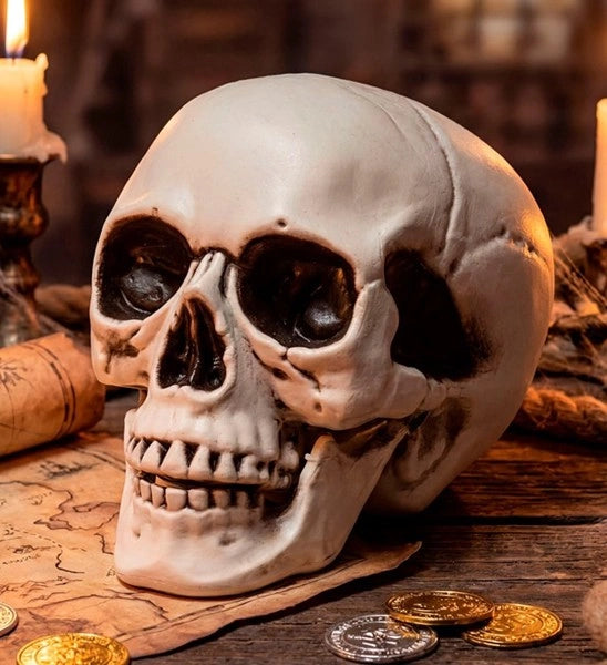Crâne d'Halloween avec mâchoire mobile