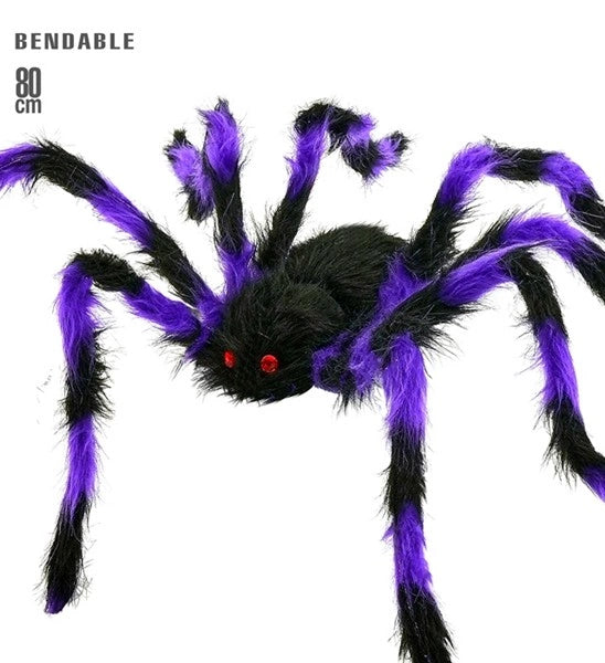 Araignée noire et violette à poils, avec des pattes flexibles