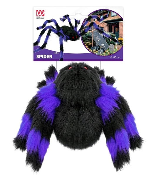 Araignée noire et violette à poils, avec des pattes flexibles
