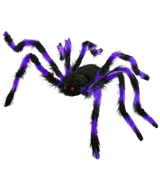 Araignée noire et violette à poils, avec des pattes flexibles