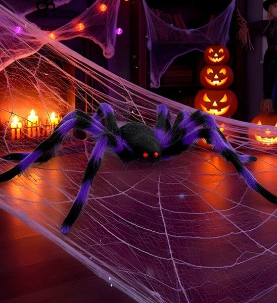 Araignée noire et violette à poils, avec des pattes flexibles