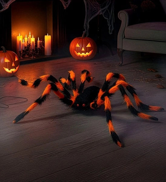 Araignée poilue noire et violette