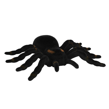 Fausse araignée noire Tarentule 16cm
