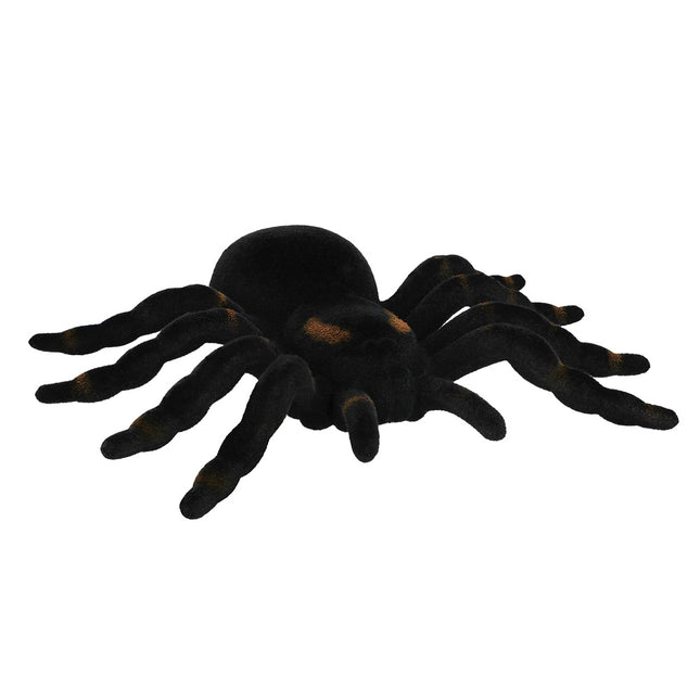 Fausse araignée noire Tarentule 16cm