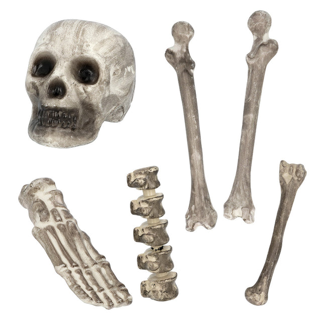 Squelette d'Halloween 6pcs