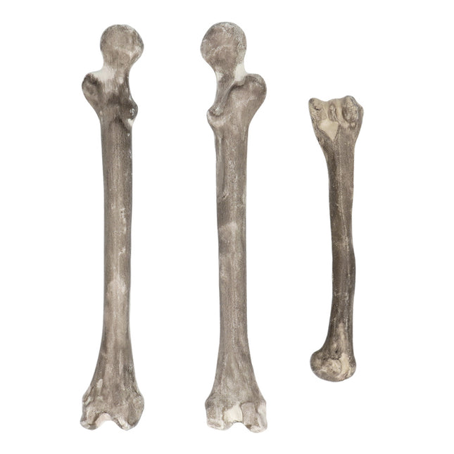Squelette d'Halloween 6pcs