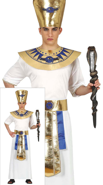Costume de pharaon 14/16 ans